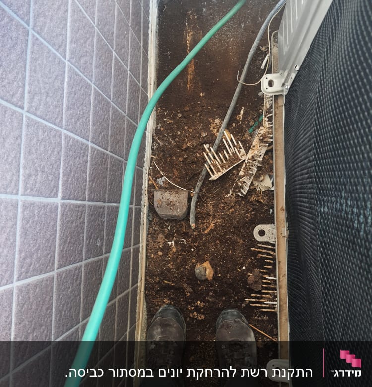 אדמה עם צינור ירוק וכלי עבודה להסרת יונים